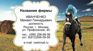 Шаблон №22423, Визитка двусторонняя, Отдых