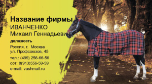 Шаблон №22583, Визитка двусторонняя, Отдых