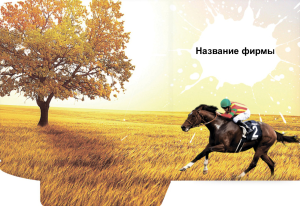 Шаблон №22670, Папка №20 Односторонняя, Отдых